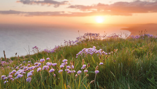 Discover Liz Earle Beauty Co. Discover Liz Earle Beauty Co.