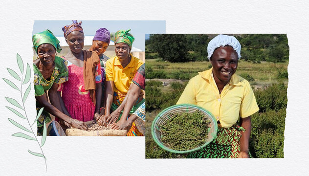 Our sustainable beauty journey