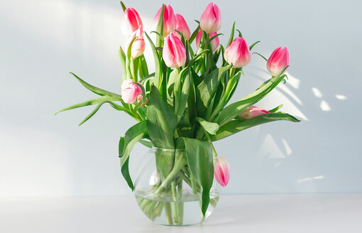 Do you have any tips to make cut flowers last longer? Do you have any tips to make cut flowers last longer?