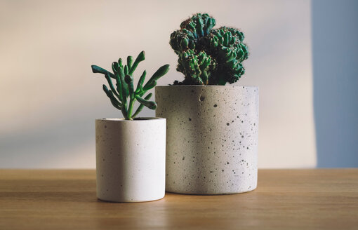 Why do plants and flowers make such special gifts? Why do plants and flowers make such special gifts?