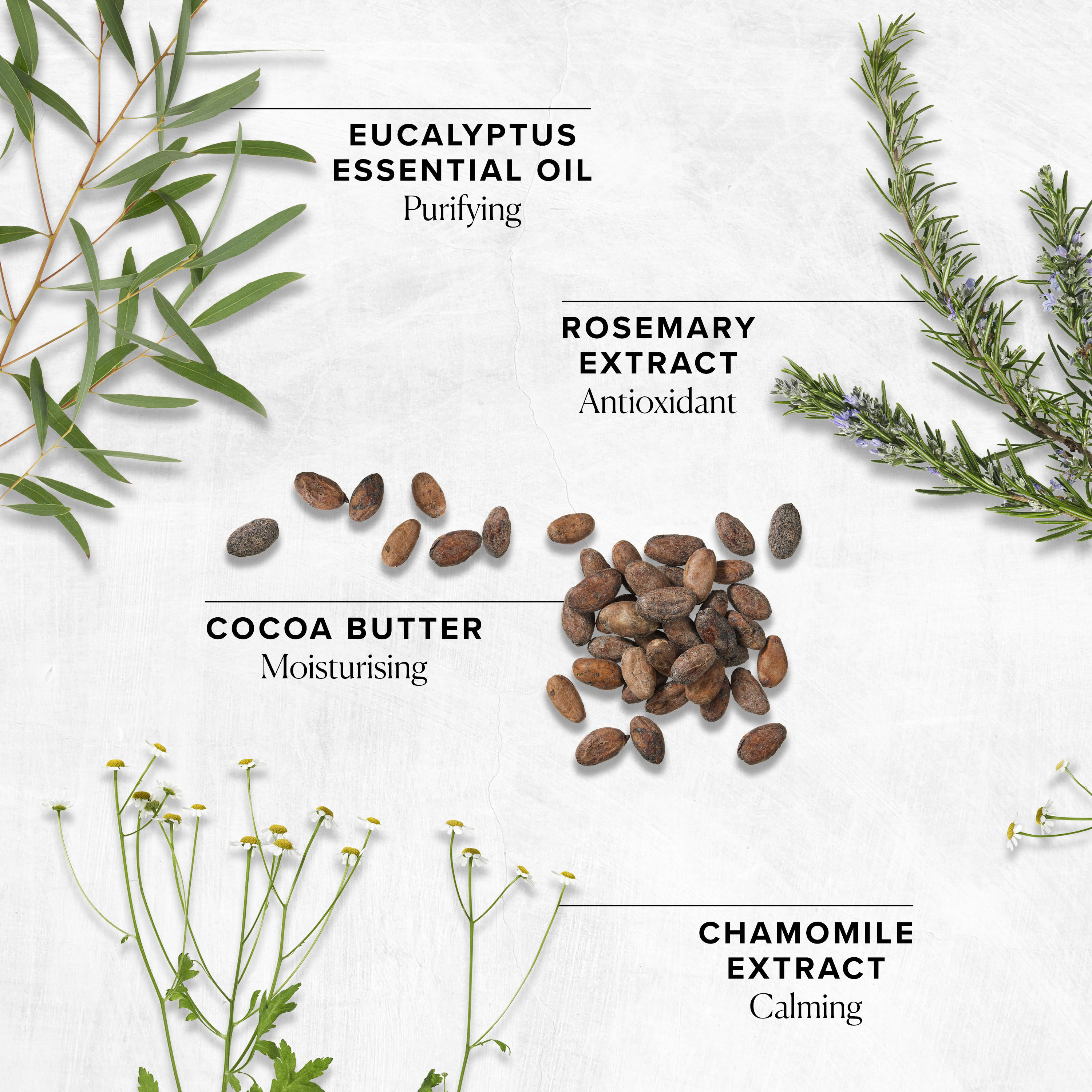 Cleanse & Polish&trade; Daily Skin Ritual 200ml  large