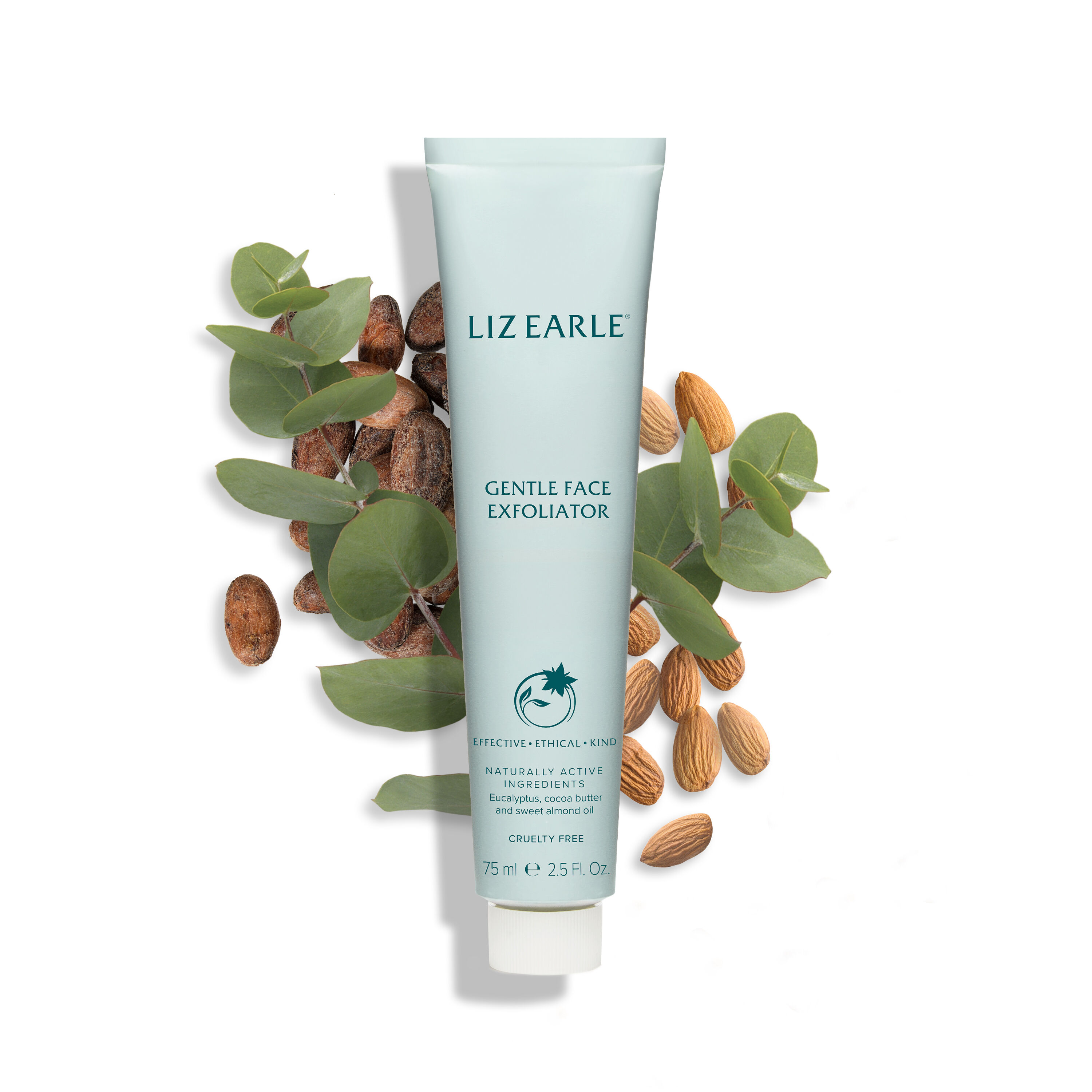 Gentle Face Exfoliator  large