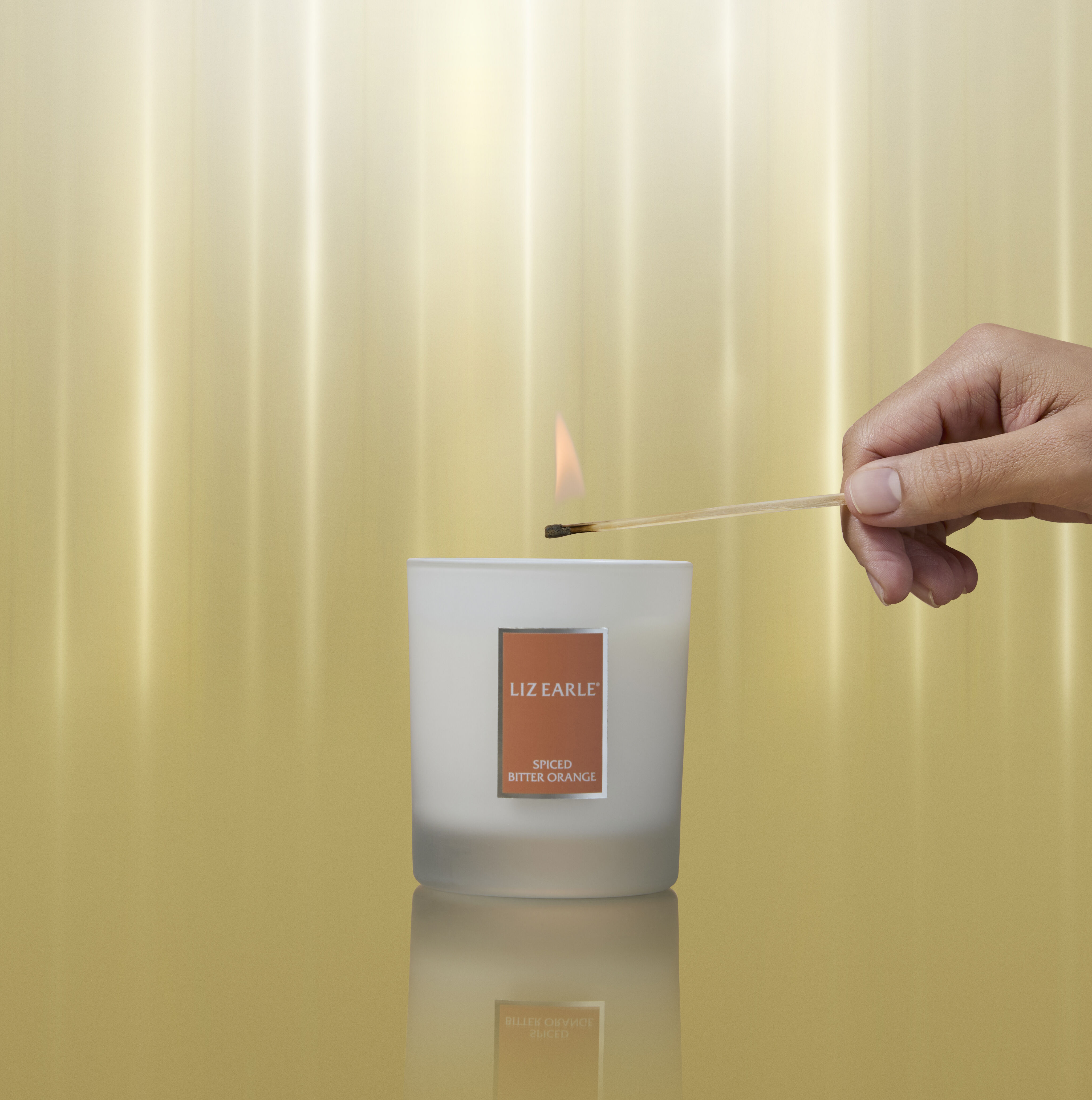 Spiced Bitter Orange Botanical Candle  large