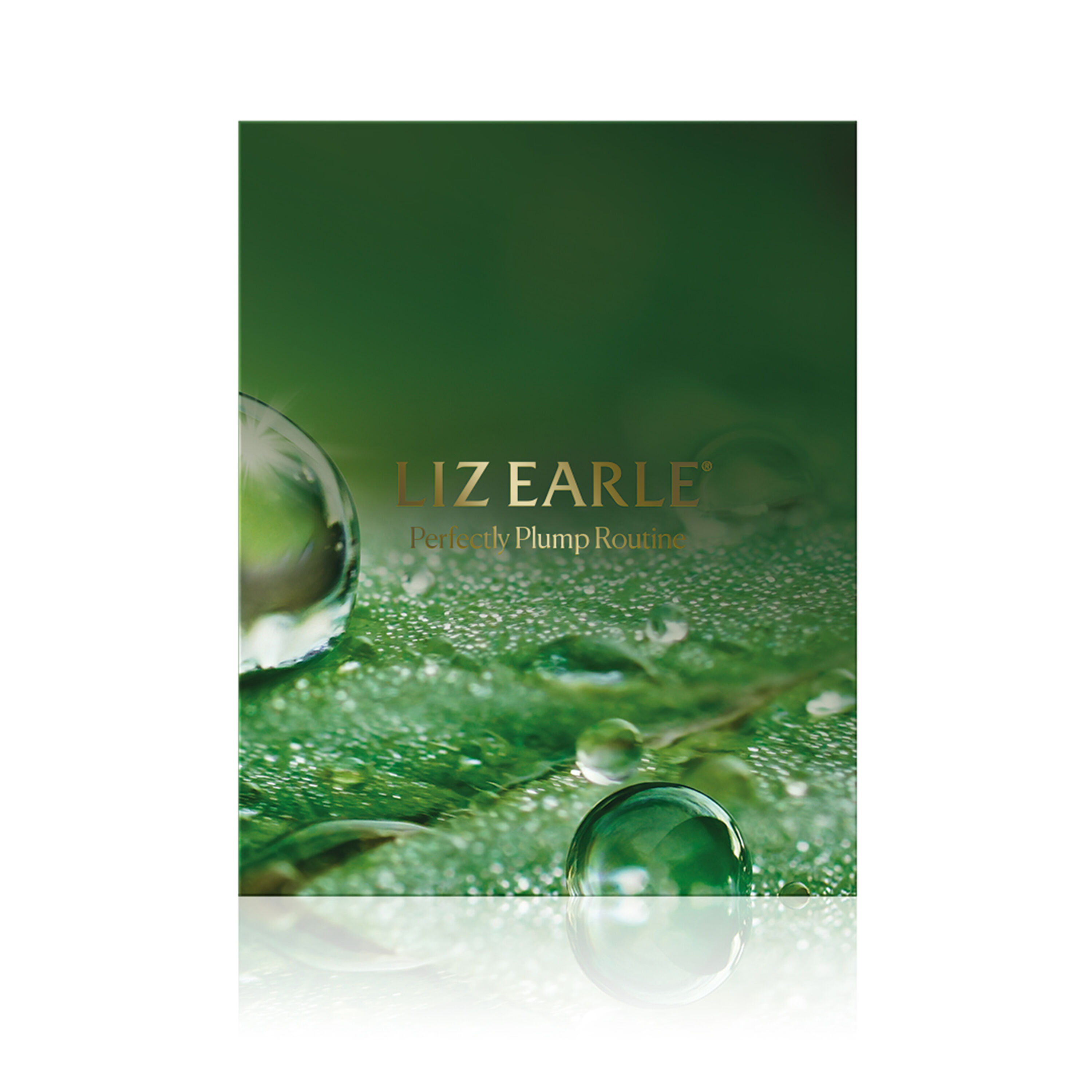 Perfectly Plump Skincare Routine  large