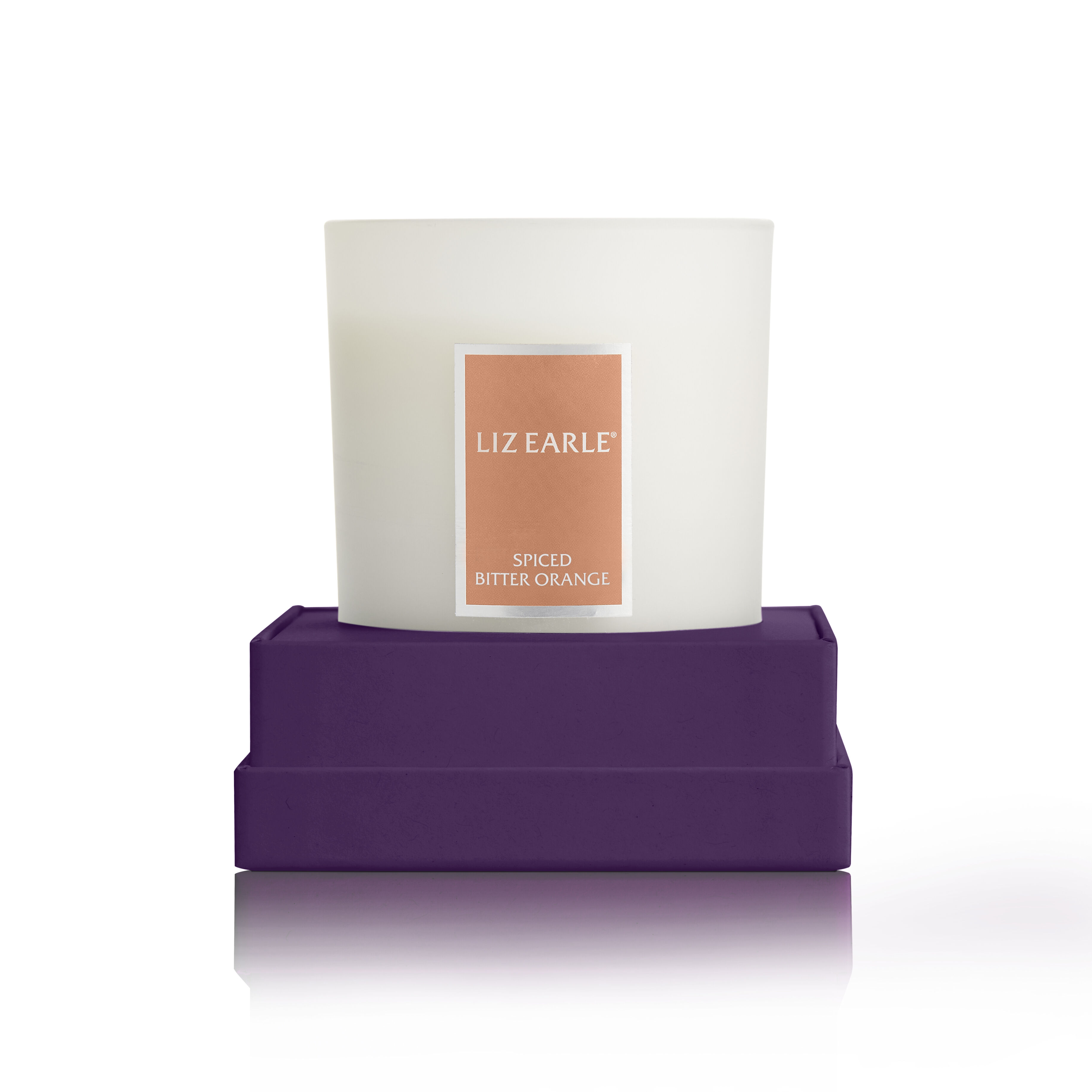 Spiced Bitter Orange Botanical Candle  large