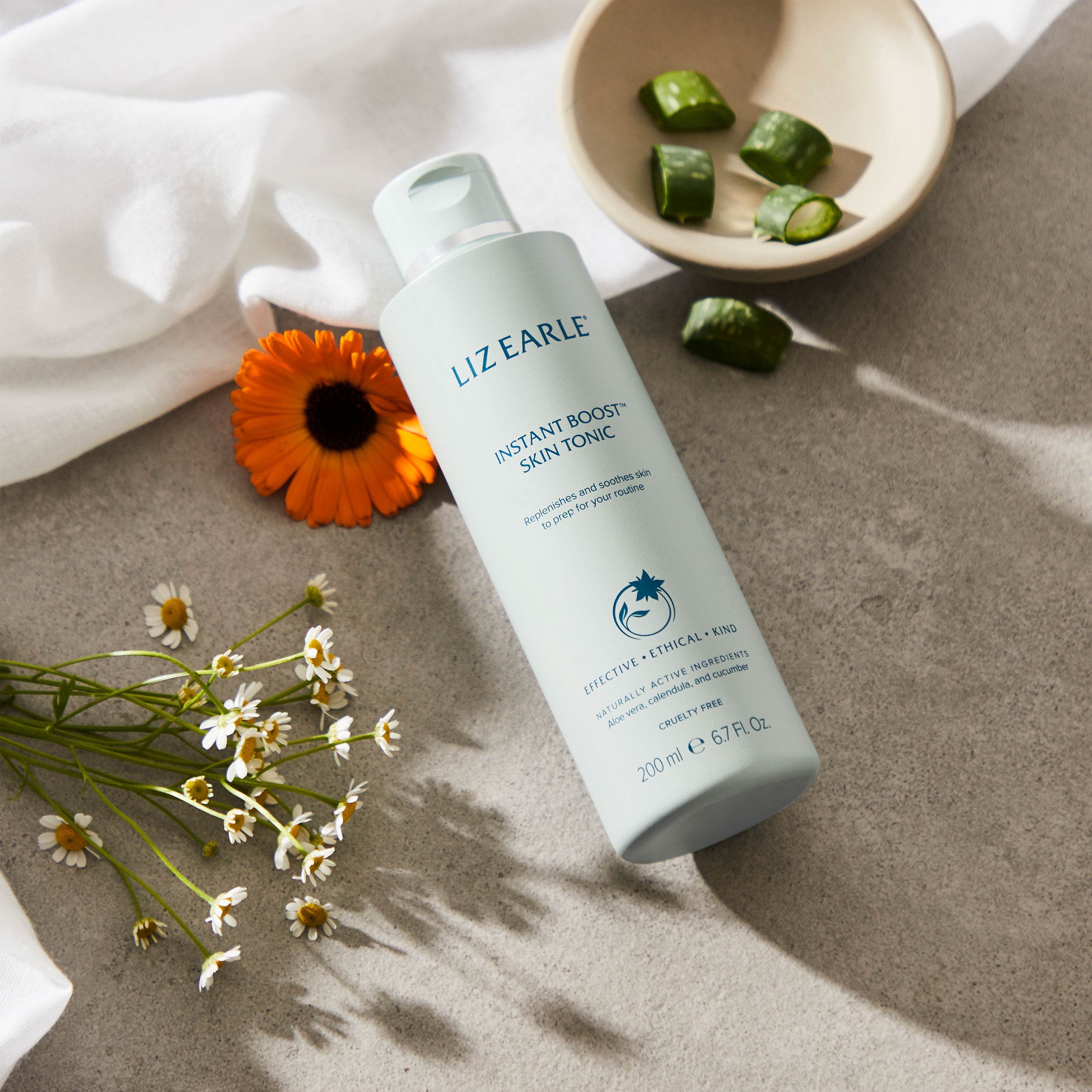 Liz cheap earle toner