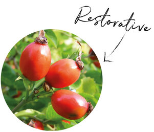 Rosehip Seed Oil