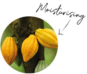 Cocoa flower