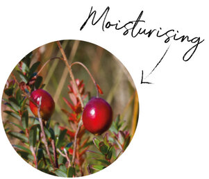 Cranberry Seed Oil
