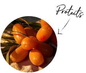 Sea Buckthorn