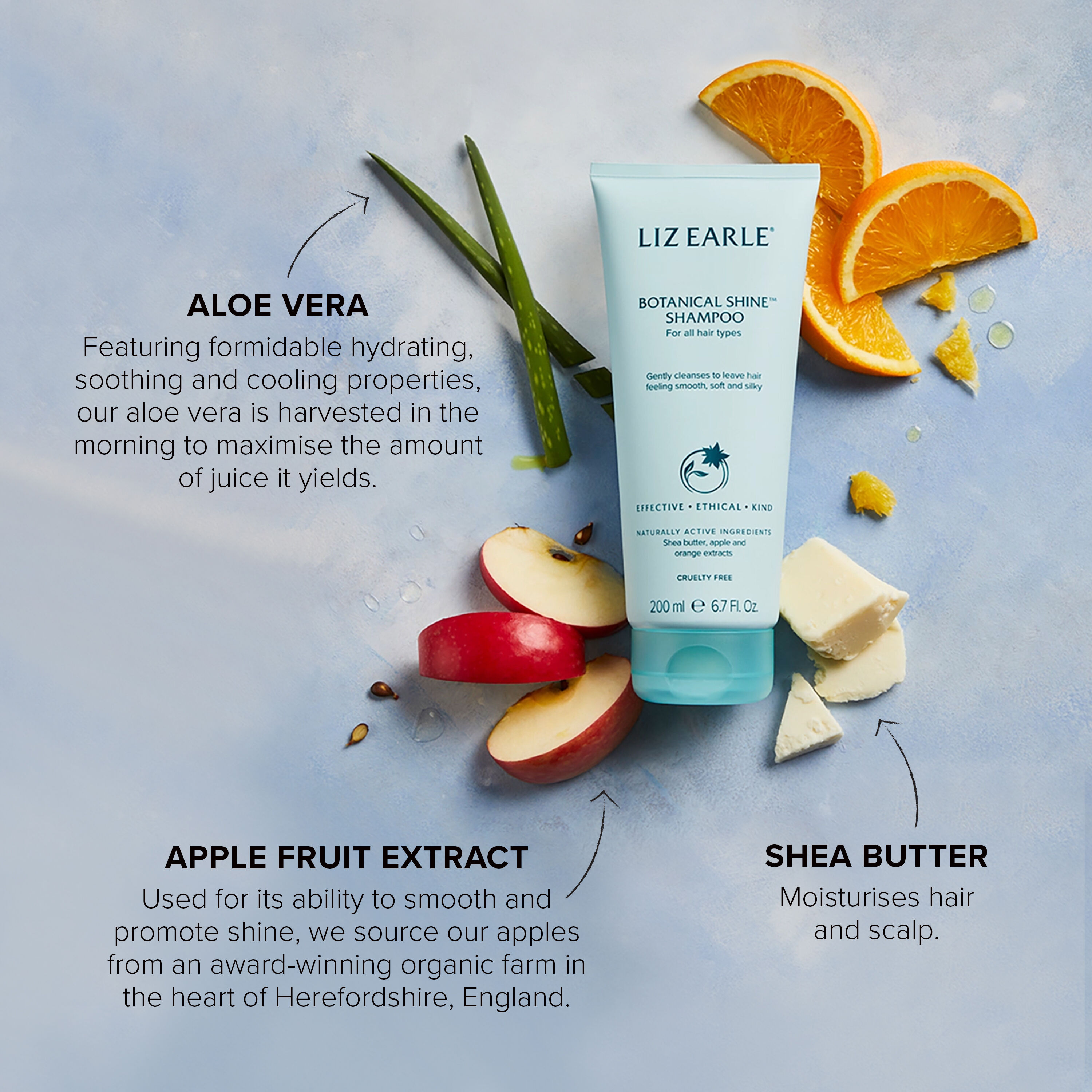 Liz earle clearance shampoo