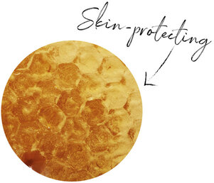Propolis