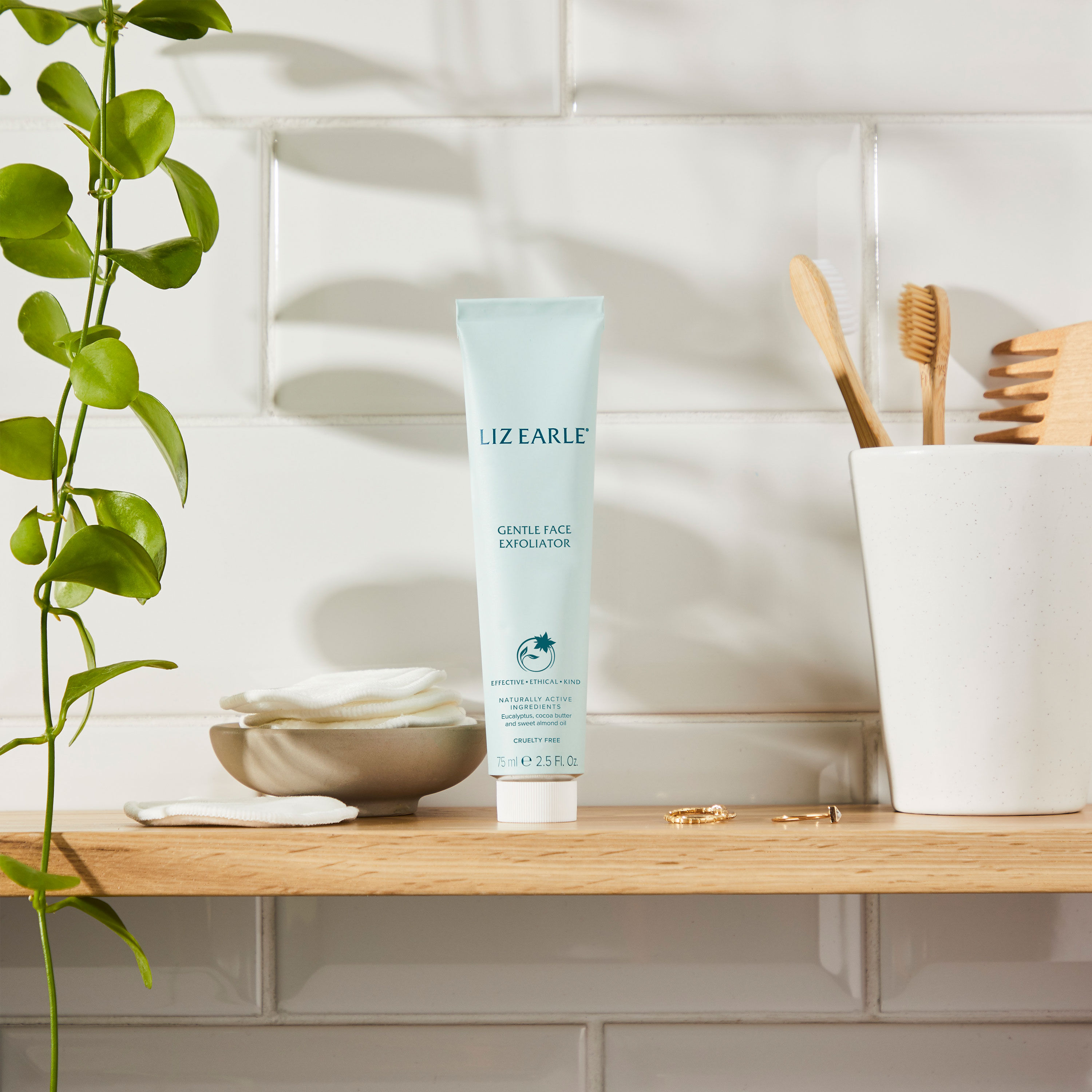 Gentle Face Exfoliator  large