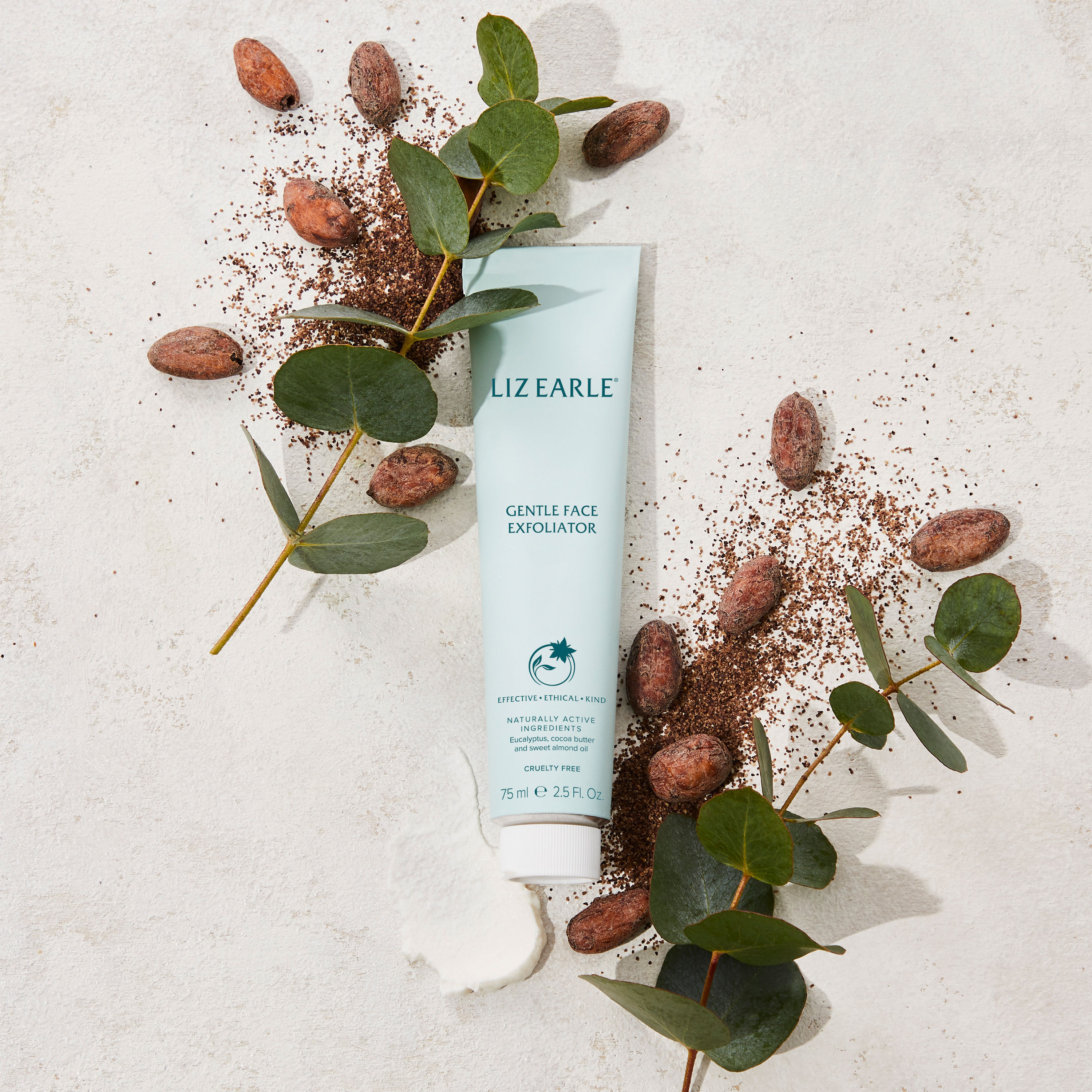 Gentle Face Exfoliator  large