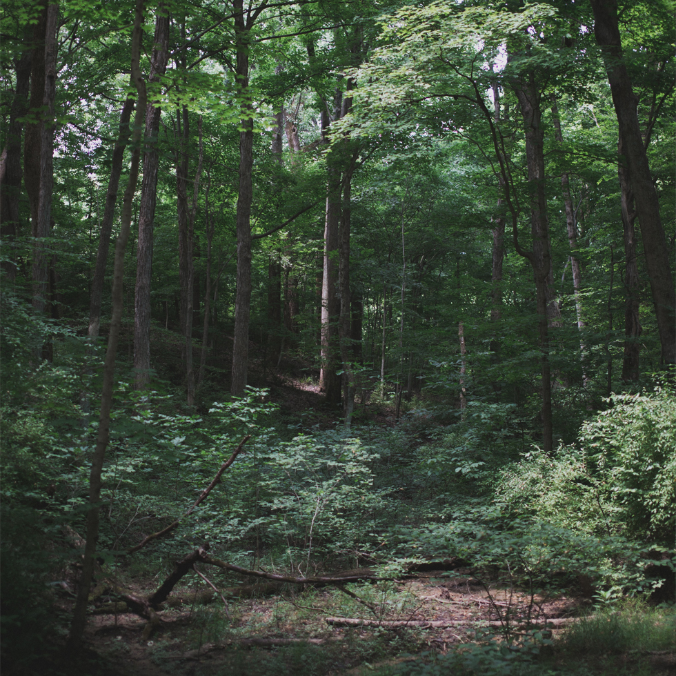 What is biodiversity? What is biodiversity?