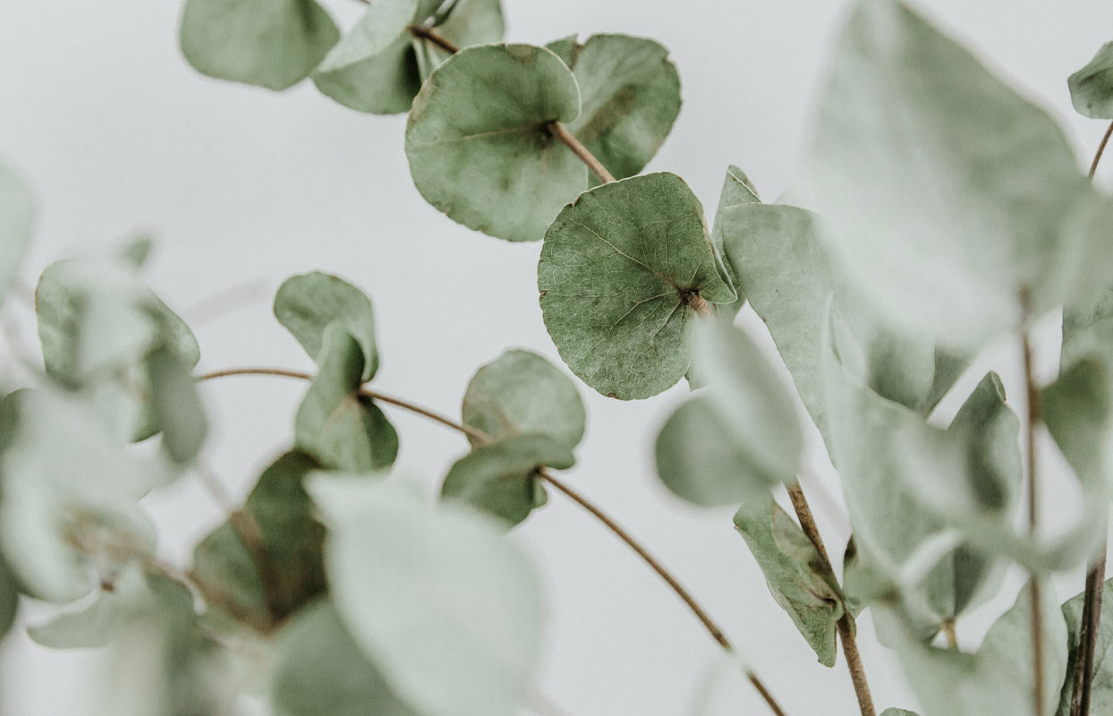 How do you want those that enter the garden to feel? How do you want those that enter the garden to feel?
