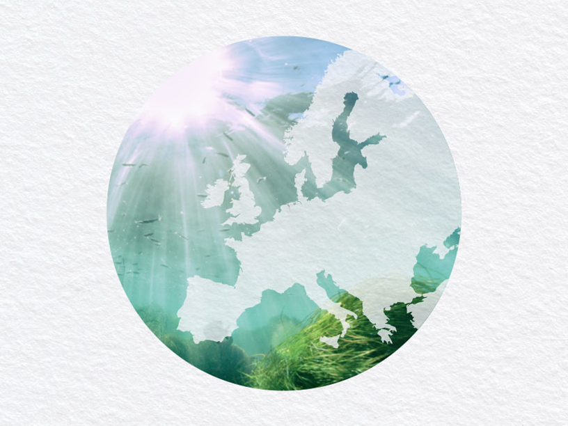 What is biodiversity? What is biodiversity?