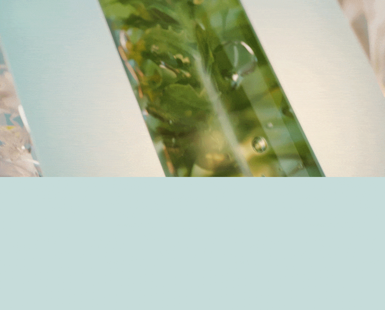 Macro image of eucalyptus in a test tube